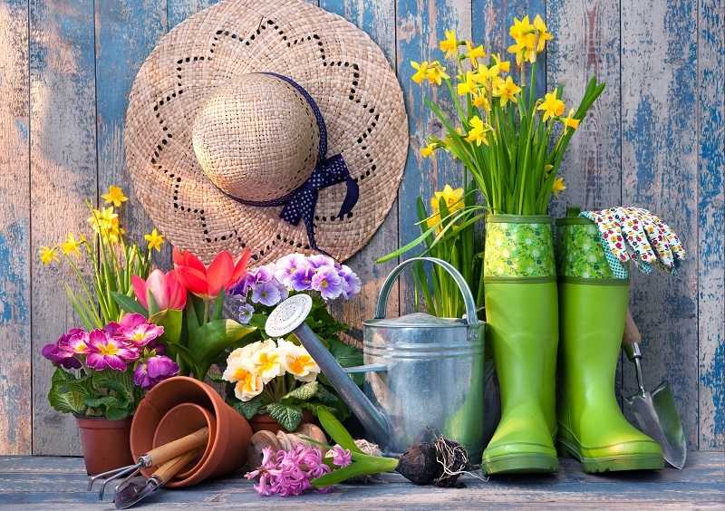 flowers  / spectacular flowers 